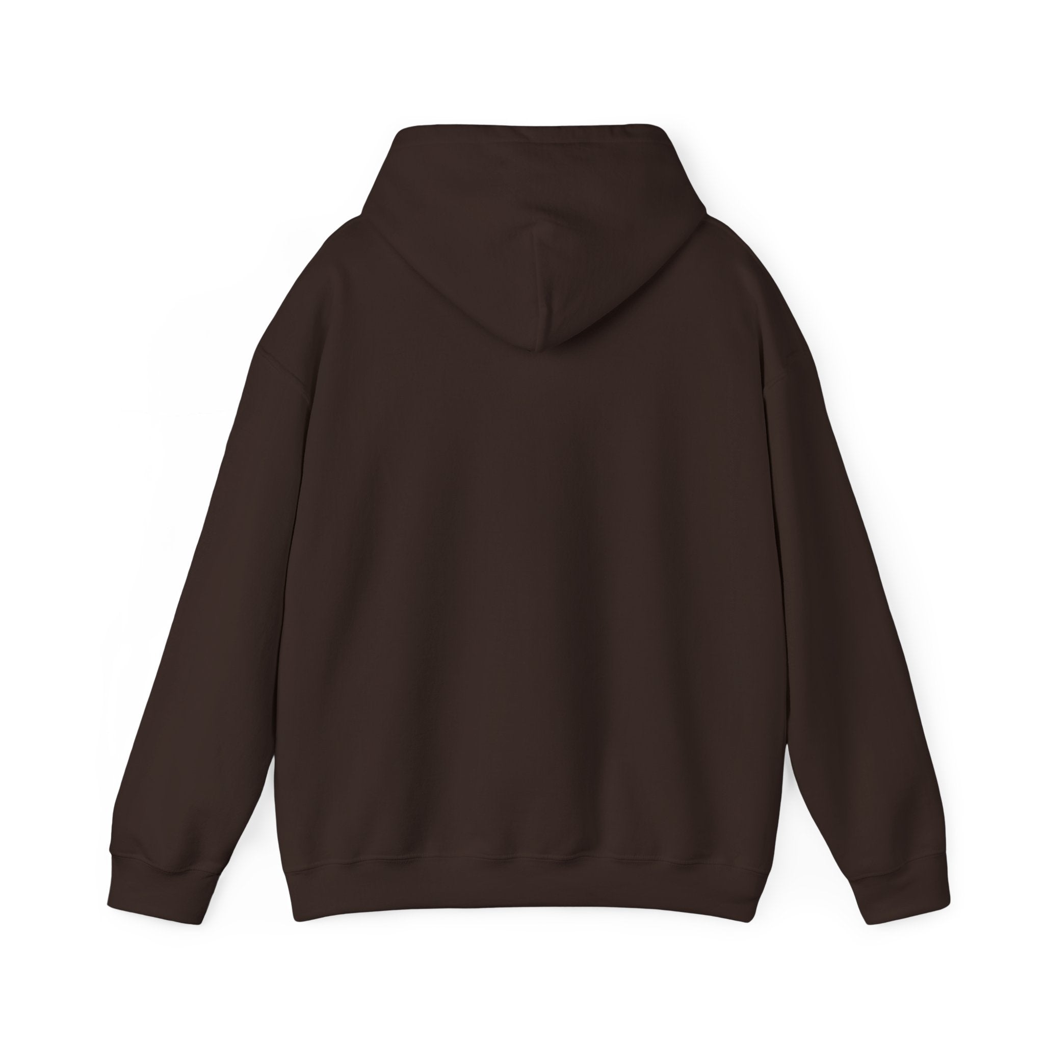 Salty Souls Hoodie - Minimal Coastal Graphic Hooded Sweatshirt