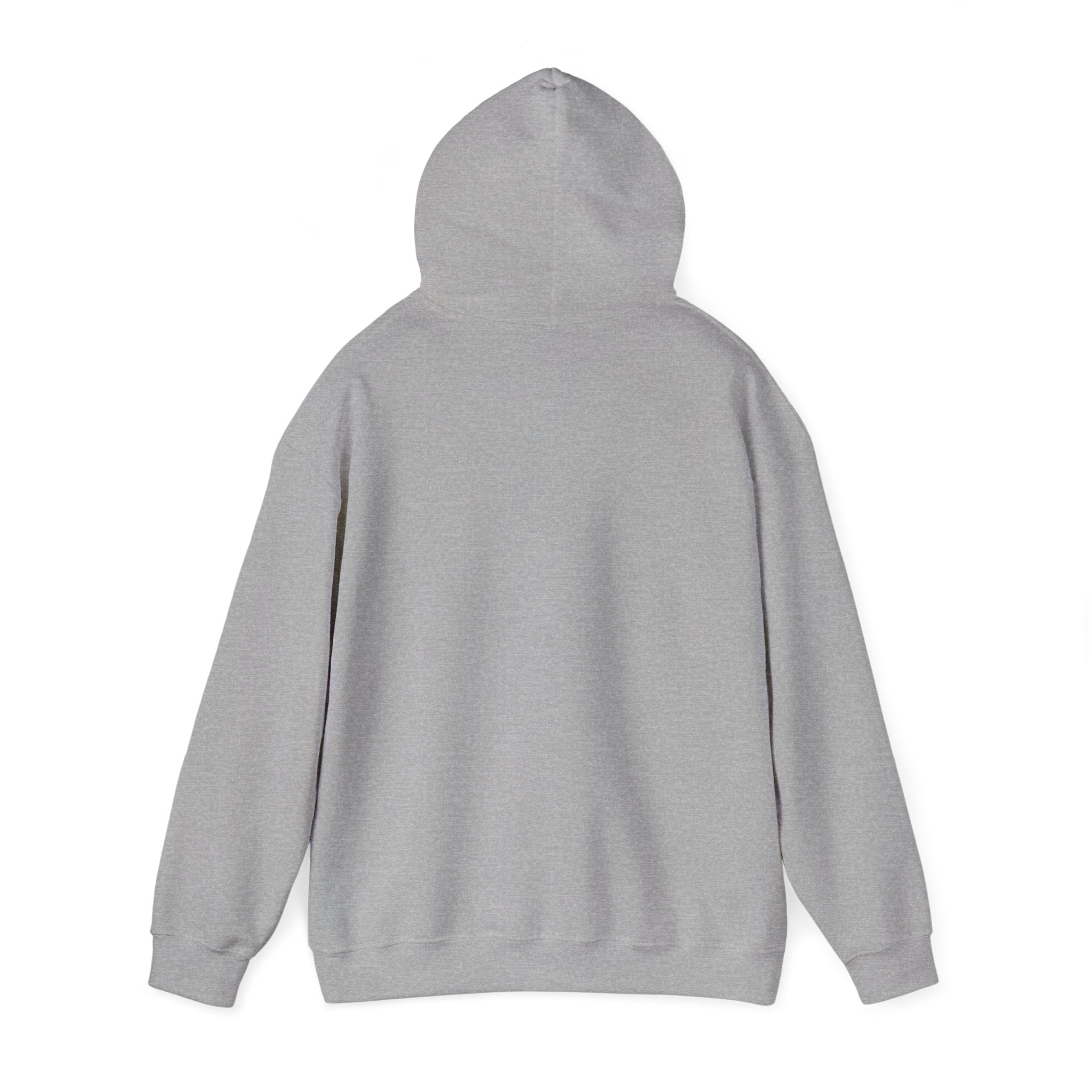 Salty Souls Hoodie - Minimal Coastal Graphic Hooded Sweatshirt