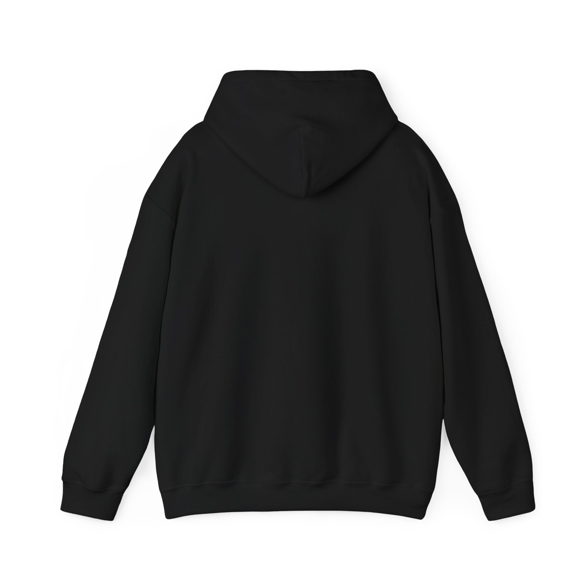 Salty Souls Hoodie - Minimal Coastal Graphic Hooded Sweatshirt