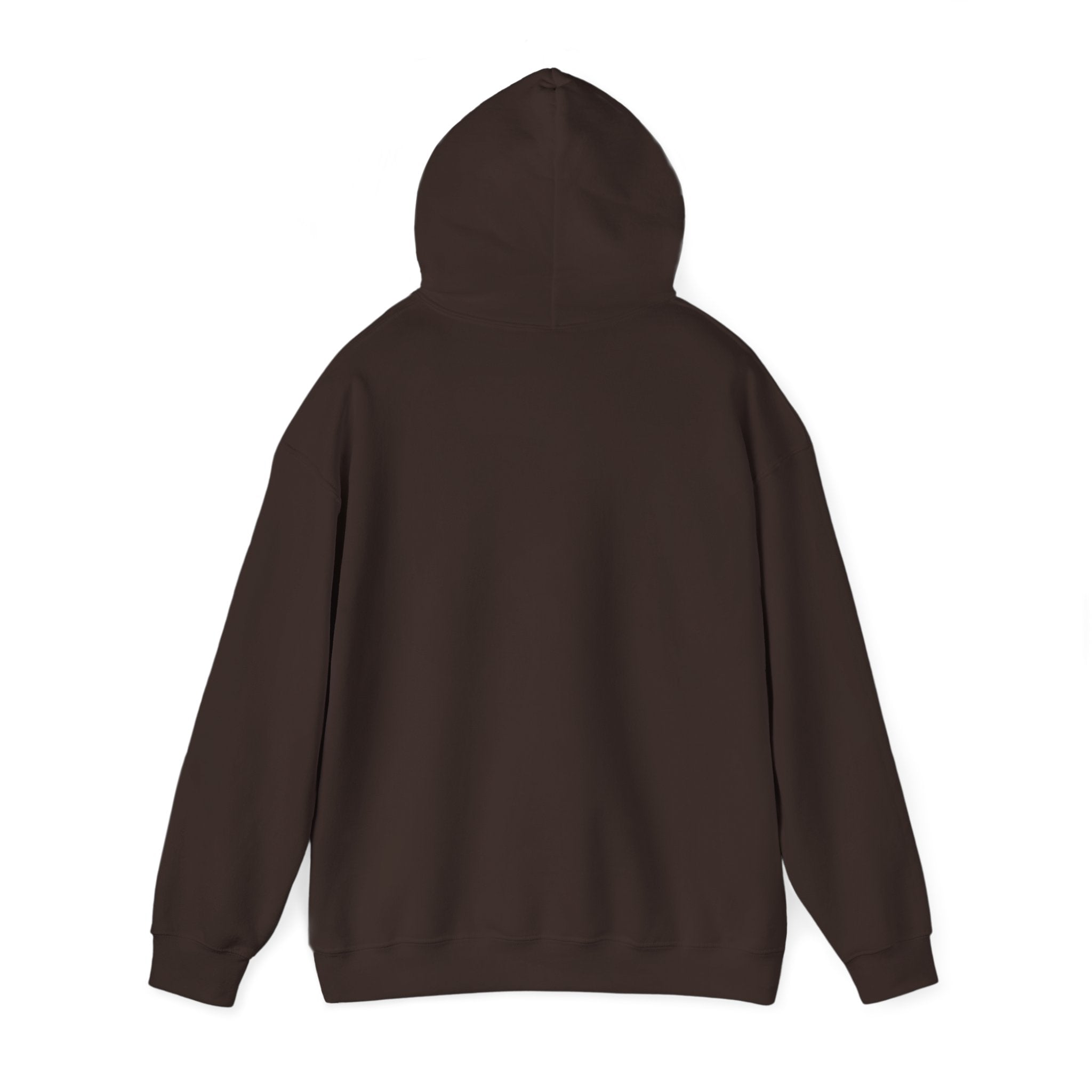 Salty Souls Hoodie - Minimal Coastal Graphic Hooded Sweatshirt